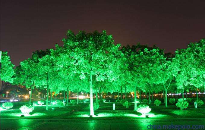 1531130505547170.jpg timg.jpg